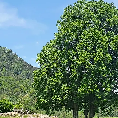 Ulla Reit im Winkl